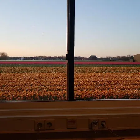 Uitzicht * Den Helder